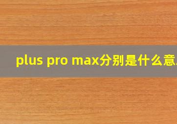 plus pro max分别是什么意思